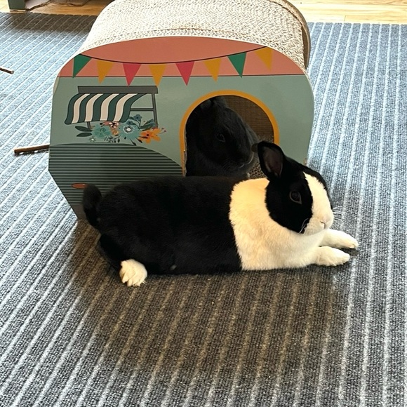 Meet your Posher, Laura - Picture 3 of 6